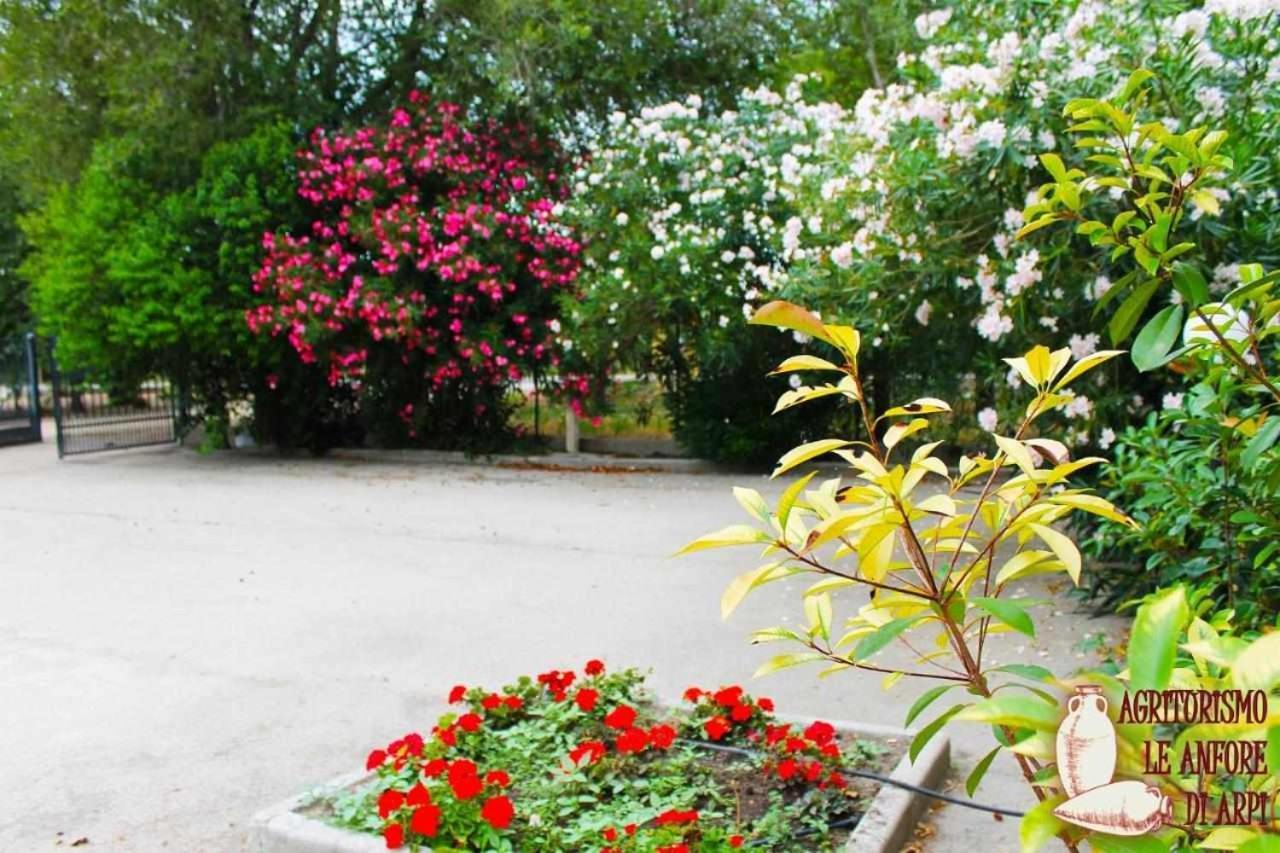 Le Anfore Di Arpi Villa Foggia Habitación foto