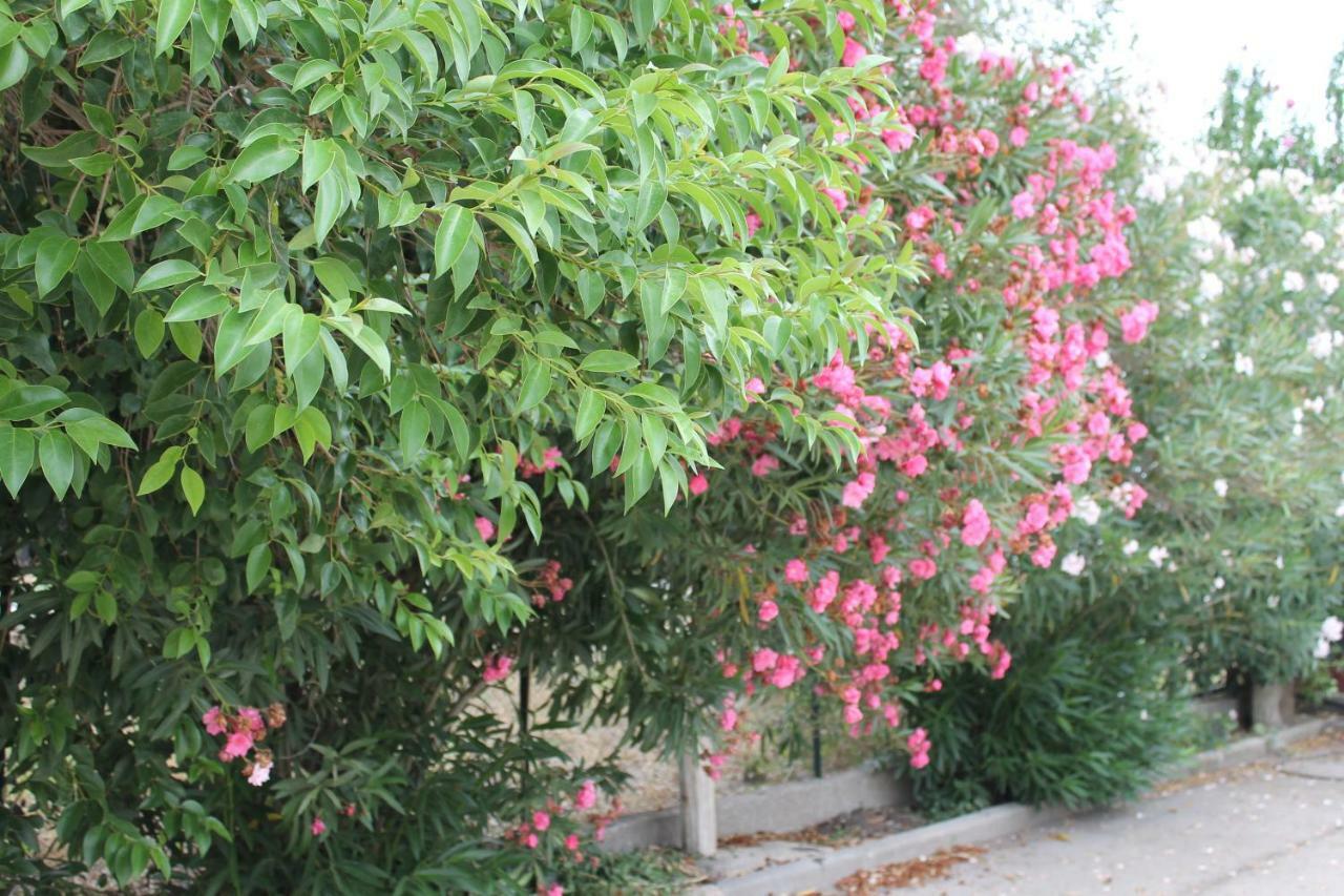 Le Anfore Di Arpi Villa Foggia Exterior foto